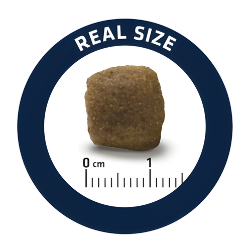 Advance Veterinary Diet Dog Articular Joints Weniger Kalorien